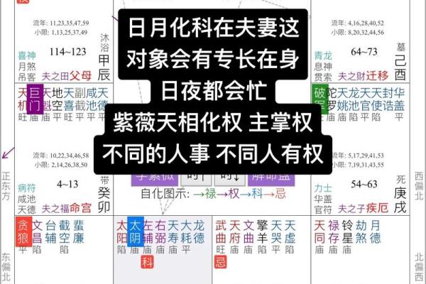 紫薇斗数服务
