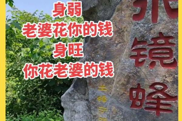 探秘八字算命，揭开你命运的神秘面纱！