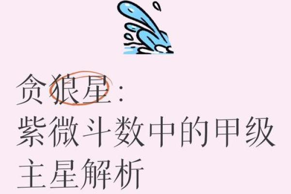 紫薇斗数贪狼化权