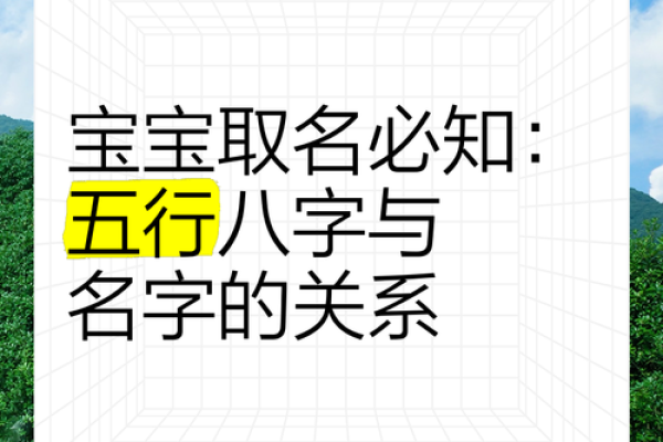 五行生辰八字取名字免费,五行取名字免费起名