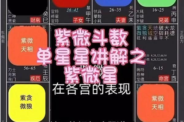 紫微斗数中，天同星的性质和含义