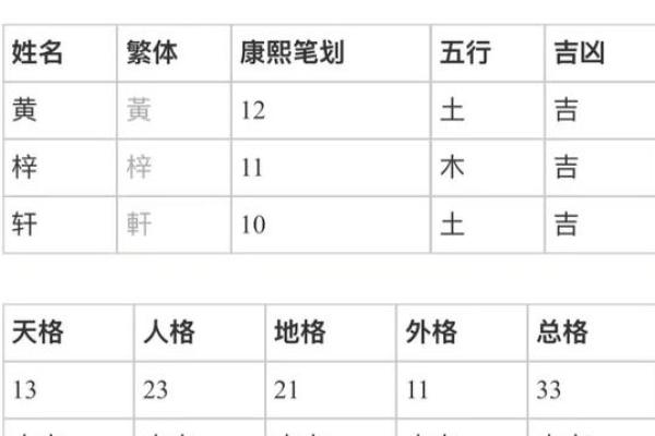 紫薇斗数外格