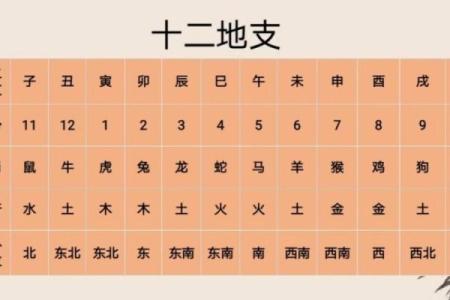 【2024年9月8日】黄历基本情况，宜忌，十二建星，五行，吉凶等