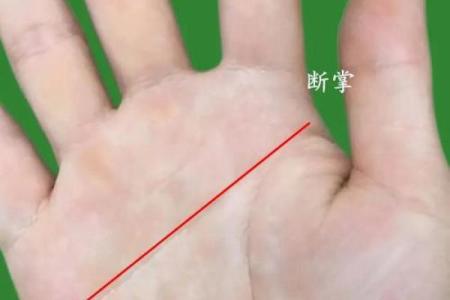 风水断掌的男人的命好不好