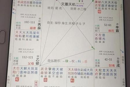 紫薇斗数看创业与否