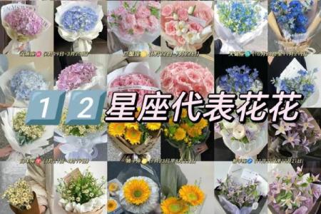 十二星座适合什么花最有灵性和灵感
