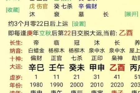 李靖逸八字吉凶评分测算