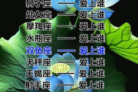 12星座哪五大星座吵架最厉害的