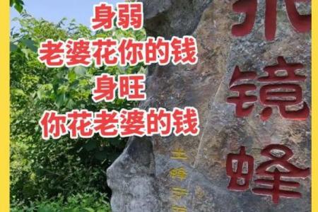 探秘八字算命，揭开你命运的神秘面纱！