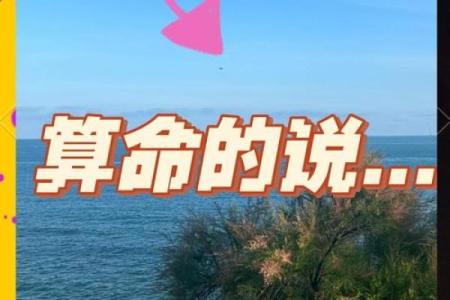 抖音算命很火吗