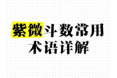 紫微斗数术语解释之：顺行与逆行