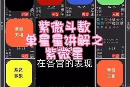 紫微斗数中，天同星的性质和含义
