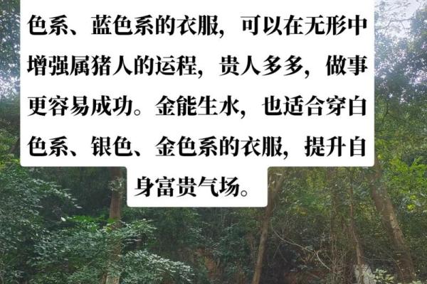 八字亥水是什么水,八字亥水是什么意思