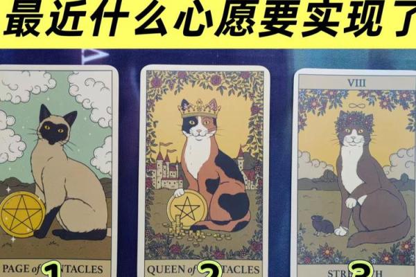塔罗测试你容易因为什么而错过属于你的真爱？