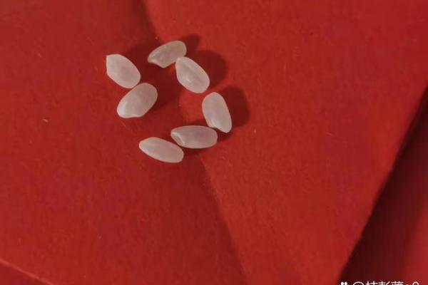 风水七粒米招财最灵的方法是什么意思