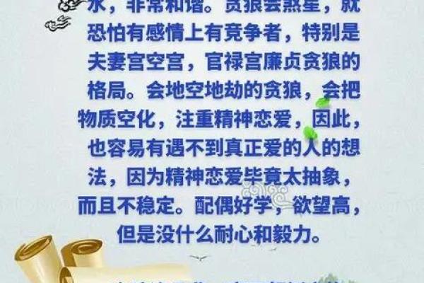 紫微斗数之夫妻宫与诸星，贪狼星在夫妻宫是什么意思？