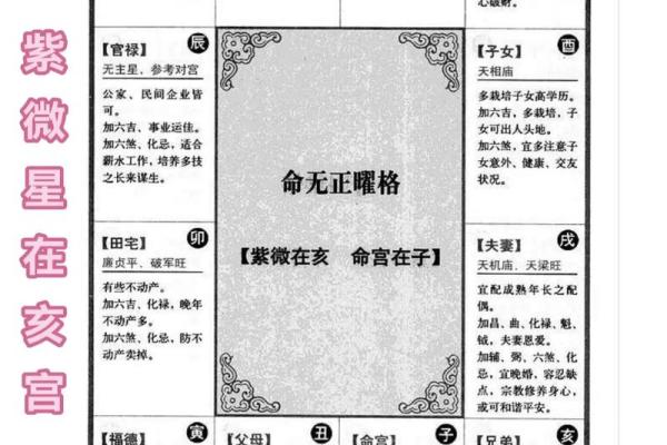 水浒传紫薇斗数