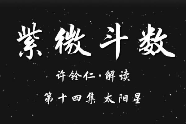 水浒传紫薇斗数