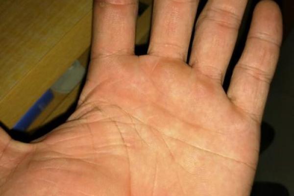 免费拍照看手相算命在线