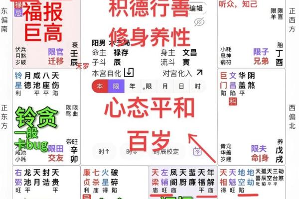 灵动紫薇斗数算命