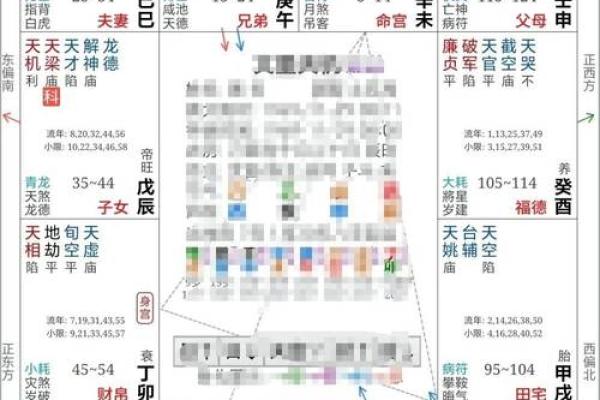 紫微斗数天府在疾厄宫