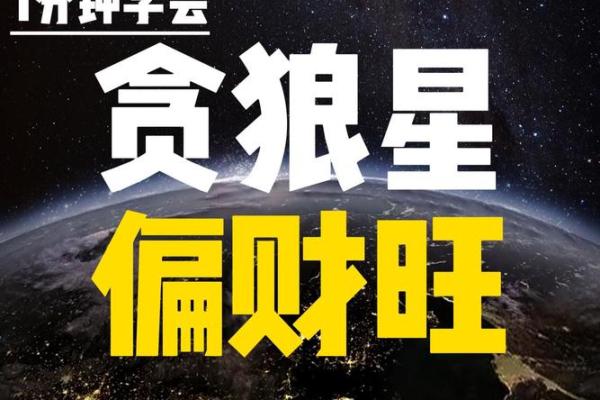 紫薇斗数贪狼