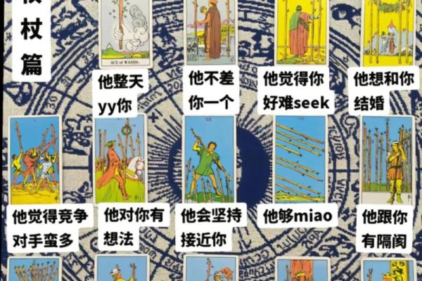 塔罗牌测试，你在事业上最大的天赋是什么？