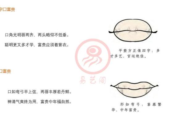 星座所主与断式口诀_六合 星座所主与断式口诀_六合