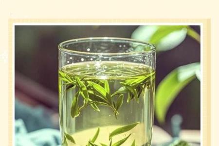 风水绿茶泡多久最佳多长时间最佳