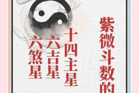 深入解析四柱八字主星和副星的奥秘