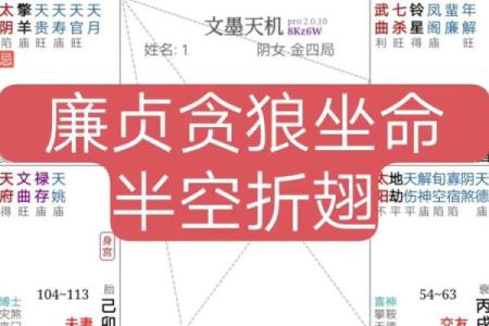 苏轼紫薇斗数