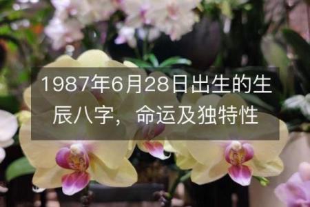 生日命运：八月二十八日是什么星座？