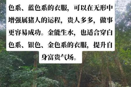 八字亥水是什么水,八字亥水是什么意思