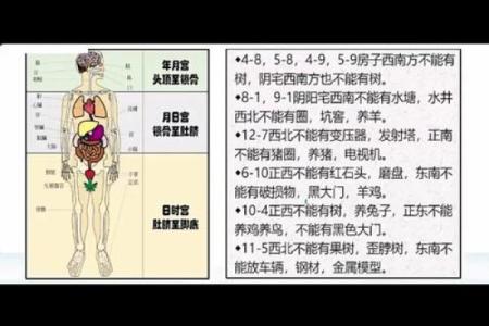 八字木土交战会怎样,木土交战怎样化解