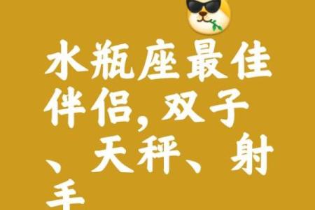 水瓶座最佳闺蜜的星座配对