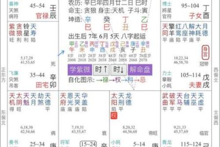 紫微斗数诸星落命宫之：天伤、天使星详解
