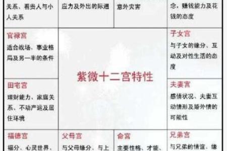 夫妻宫看紫薇斗数