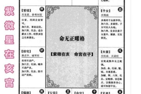 水浒传紫薇斗数