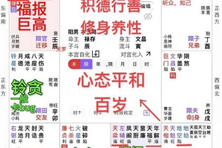 灵动紫薇斗数算命