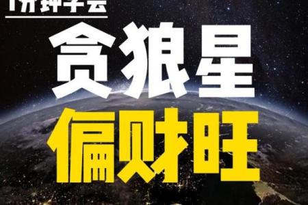 紫薇斗数贪狼