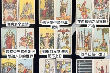 塔罗测试：你能否进入喜欢的大学