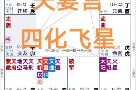紫薇斗数怎么看配偶长相