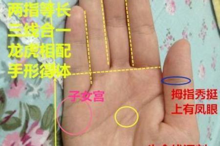 生辰八字测有几个子女 子女线能看出与孩子的关系