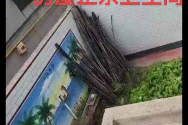 因房子风水引起不顺