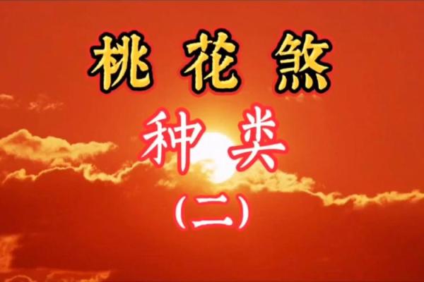 犯桃花的八字
