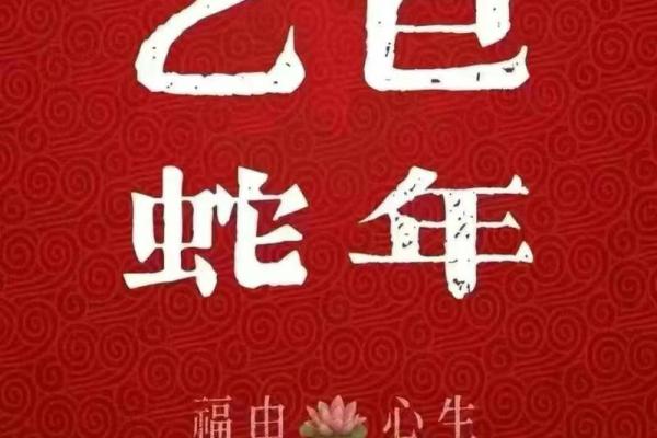 办公室属蛇风水应该如何布局 生肖蛇人赶紧看过来
