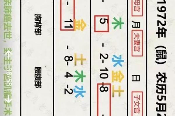命理学：八字改运秘法，提高运势的准确方法！_1