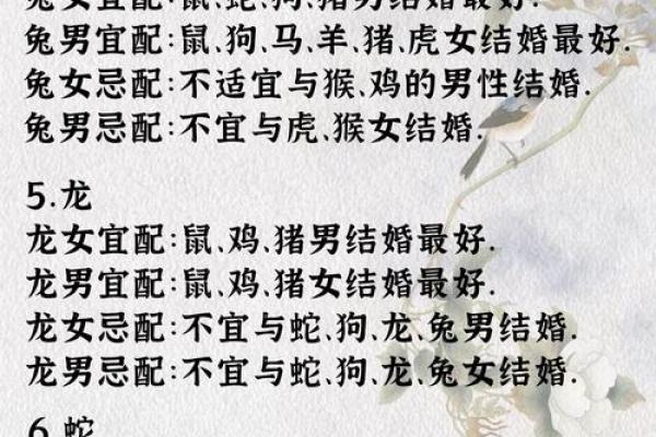 测缘分属马男和属鸡女八字合不合 算配对指数