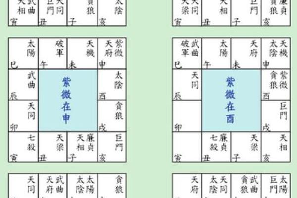紫薇与斗数