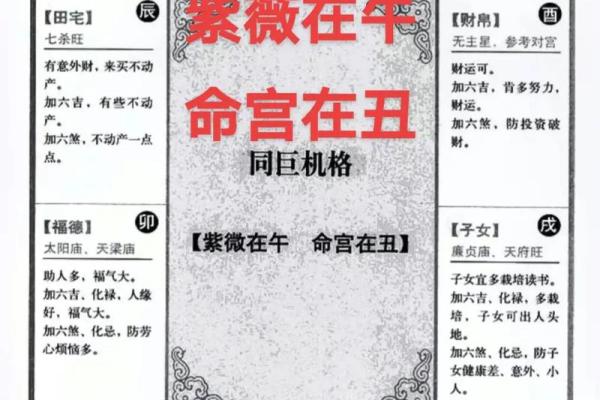 紫薇与斗数